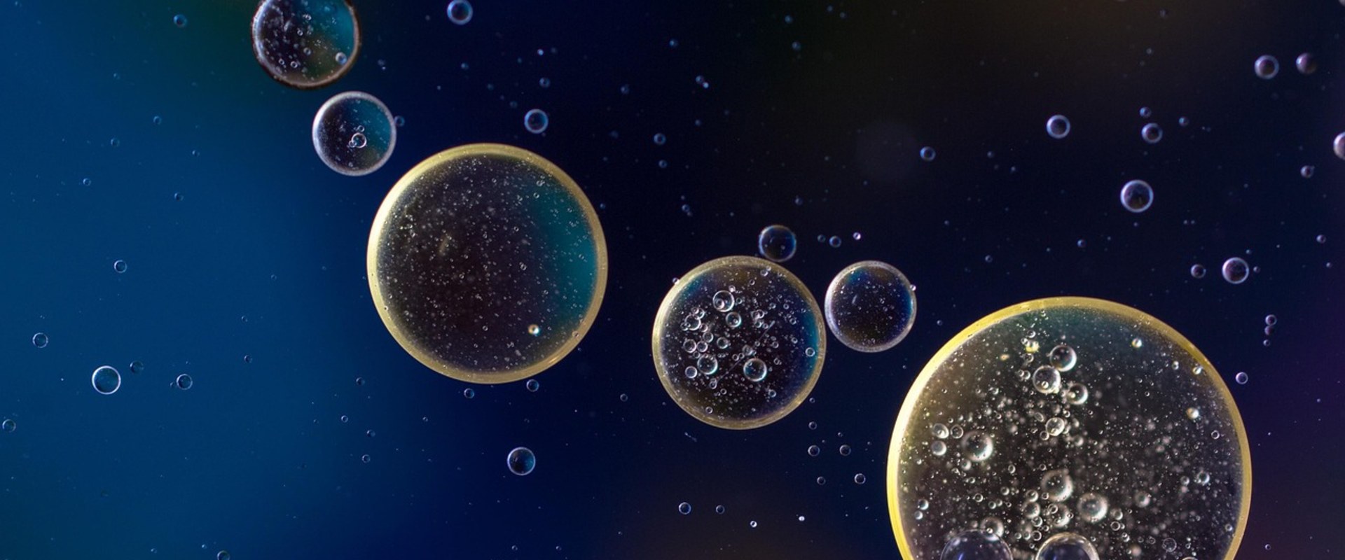 Benefits of Argan Oil for Multiple Sclerosis Wellness